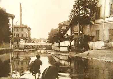 W-SpaltoPontAss.jpg (16027 byte)
